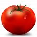 Tomato-icon